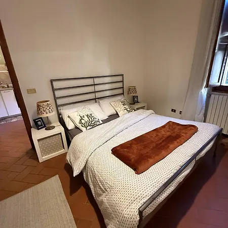 Silvia Nel Borgo *